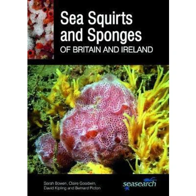 Afbeelding van Sea Squirts and Sponges of Britain Ireland