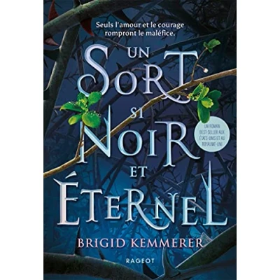 Afbeelding van Un sort si noir et éternel
