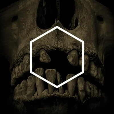 Afbeelding van V/A Others (3 LPs)