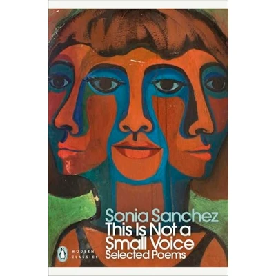 Afbeelding van Penguin Modern Classics This Is Not a Small Voice