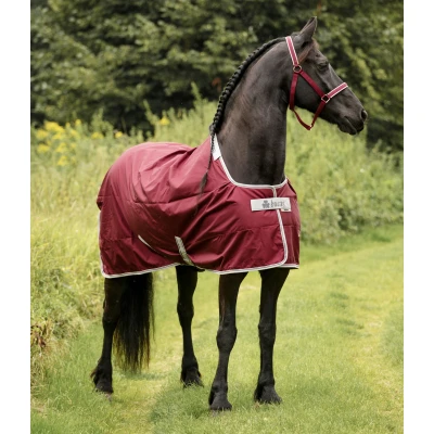 Image de Bucas Atlantic Light Exclusive Wine 130/175