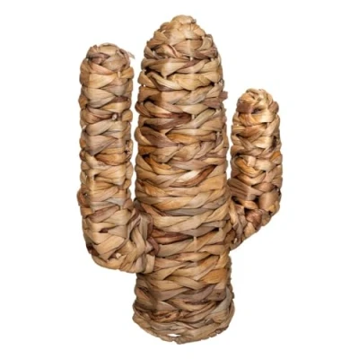 Afbeelding van Atmosphera Cactus &quot;Haci&quot; 26 x 35 cm