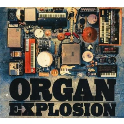 Afbeelding van Organ Explosion (CD)