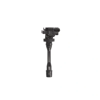 Afbeelding van Bobine DELPHI GN10191 12B1