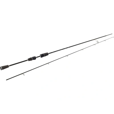 Afbeelding van Westin W2 Spoon (2 delen) Maat : Medium Light 2.13m 2 10g