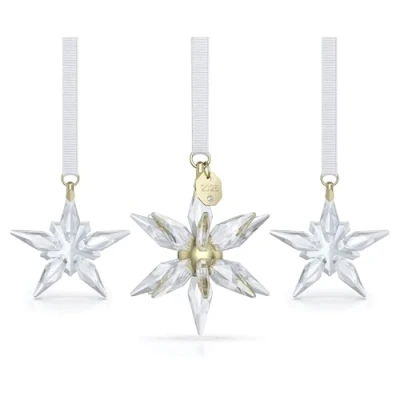 Afbeelding van Swarovski Annual Edition 3D Ornament Set 2025 5701628