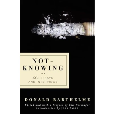 Afbeelding van Not Knowing