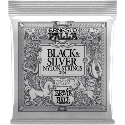 Image de Ernie Ball Ernesto Palla 2406