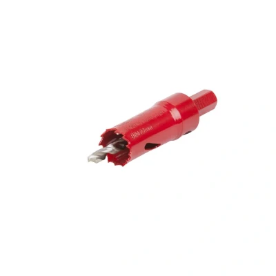 Afbeelding van Wolfcraft 5463000 Gatenzaag 22 mm 1 stuk(s)
