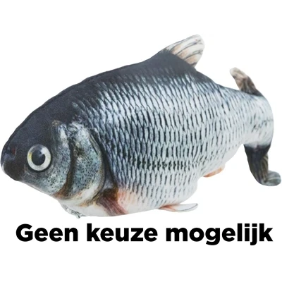 Afbeelding van Trixie Spartel Vis Met Catnip Van Stof Assorti 30 CM