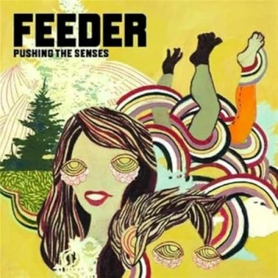 Afbeelding van Pushing the Senses