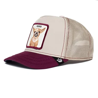 Afbeelding van Goorin Bros Quiero Fierce Pet, Heren, Maat: One Size, Beige
