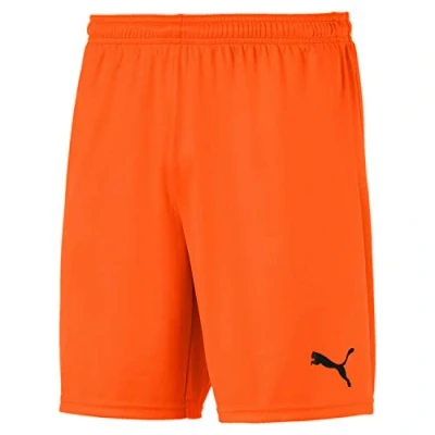 Afbeelding van PUMA Teamgoal gebreide herenshorts 23