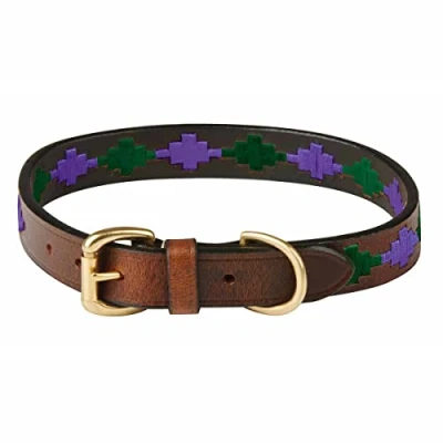 Afbeelding van Weatherbeeta Halsband Polo Leer Beaufort/Brown/Purple/Teal XL Agradi.be