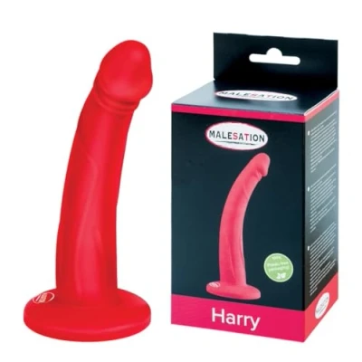 Afbeelding van Strap on dildo Harry rood