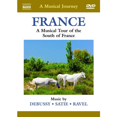 Afbeelding van Various Artists A Musical Journey: Francea (DVD)