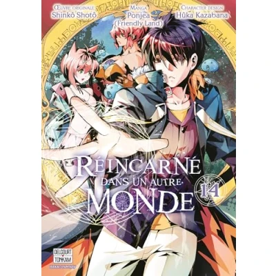 Afbeelding van REINCARNE DANS UN AUTRE MONDE,14
