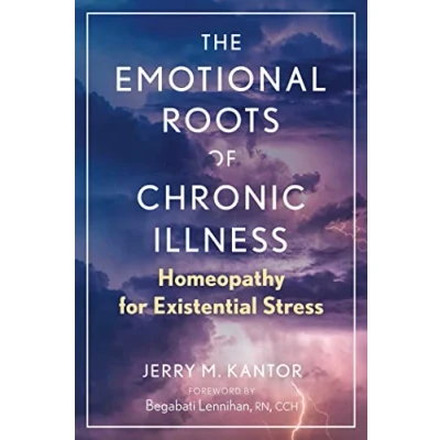 Afbeelding van The Emotional Roots of Chronic Illness