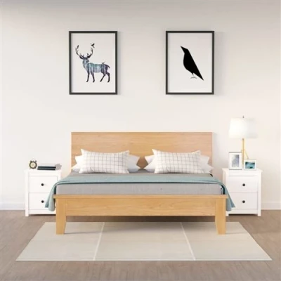 Afbeelding van vidaXL Nachtkastjes 2 st 50x35x61,5 cm massief grenenhout wit