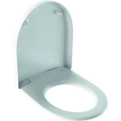 Afbeelding van Geberit 300 Basic toiletzitting met deksel softclose scharnieren