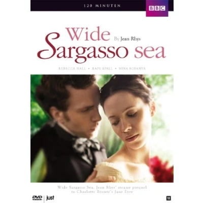 Afbeelding van Wide Sargasso Sea