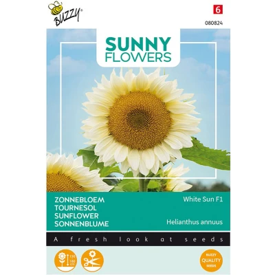 Afbeelding van Sunny Flowers, Zonnebloem White Sun of Day Buzzy