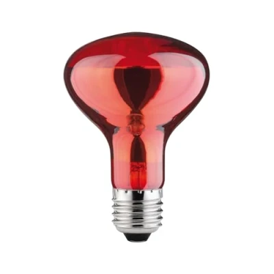 Afbeelding van Paulmann Infraroodlamp E27 60 W (Ø x l) 80 mm 115 230 V 1 stuk(s)