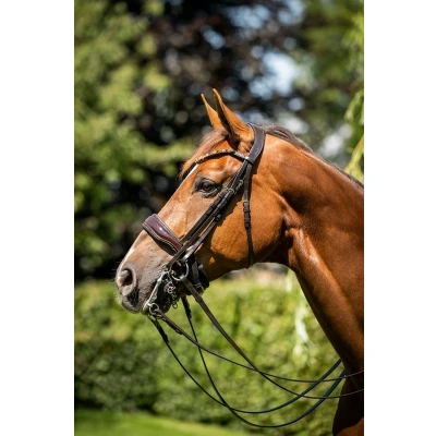 Afbeelding van HB Showtime Stang en Trenshoofdstel Special for You Brown/Golden Glitter Full Agradi.be