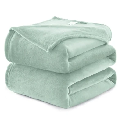 Afbeelding van WAVVE Flanellen fleecedeken, 260 g/m², 230 x 270 cm, lichtgroen, grote deken, 230, bank/tweepersoonsbed, warm en zacht, grijs