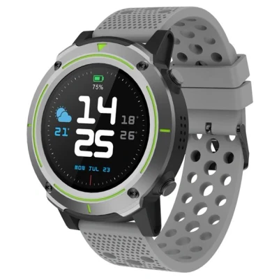 Image de Montre connectée Denver SW 510 Grey