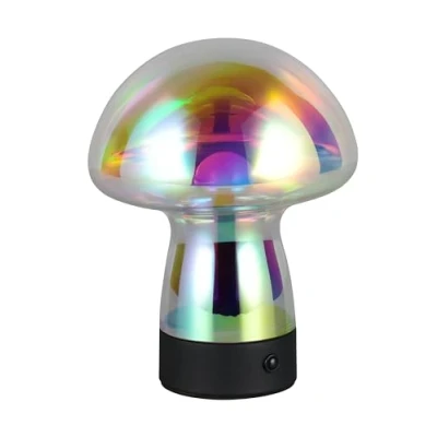 Afbeelding van REALITY DOOLEY Tafellamp Transparant iriserend incl. 1x SMD 1,5 W 4 stappen TOUCH USB aansluiting Oplaadbaar Snoerloos