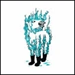 Afbeelding van Besnard Lakes Casino Nanaimo (Single)