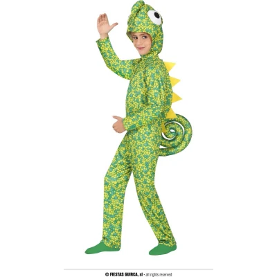Afbeelding van Fiestas Guirca Jumpsuit Kameleon 5 6 jaar