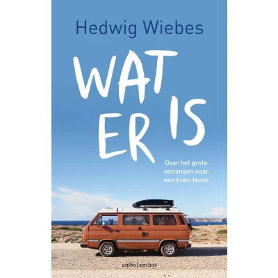 Afbeelding van Wat er is