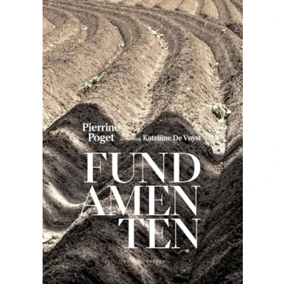 Afbeelding van Fundamenten