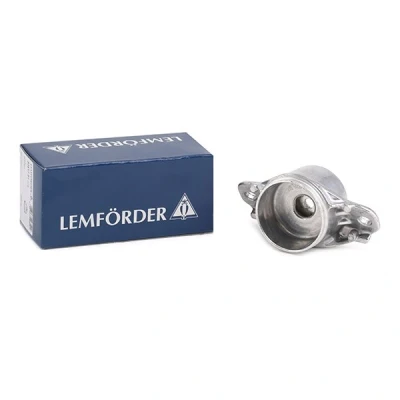 Afbeelding van Veerpoot LEMFÖRDER 37417 01