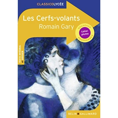 Afbeelding van ISBN Les Cerfs Volants boek Frans 416 pagina&#039;s