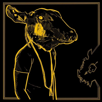 Afbeelding van Shakey Graves Roll the Bones (LP)