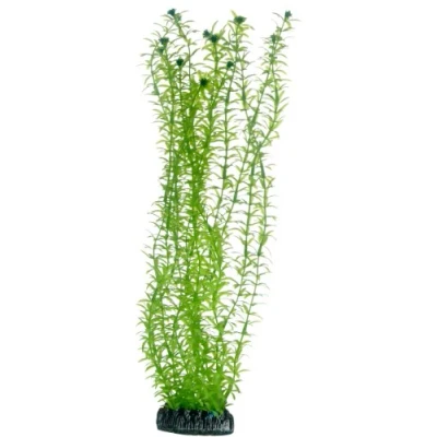 Afbeelding van Hobby Plant Lagarosiphon 34CM