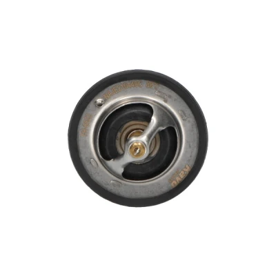 Afbeelding van Kavo Parts Thermostaat TH 6523
