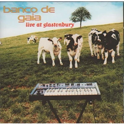 Afbeelding van Live at Glastonbury