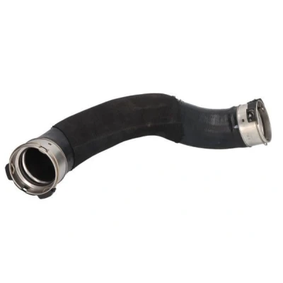 Afbeelding van THERMOTEC DCB120TT Laadluchtslang AEM (ethyleen acrylaat rubber) BMW: X2