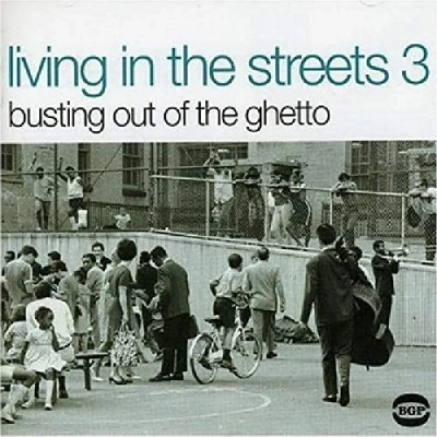 Afbeelding van V/A Living In the Streets 3 (2 LPs)