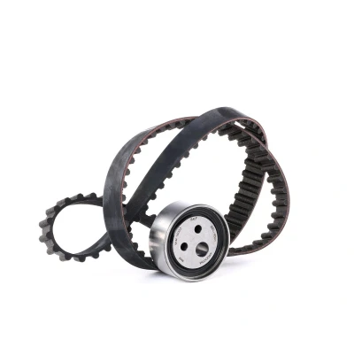 Afbeelding van Distributieriemset SKF VKMA 06003