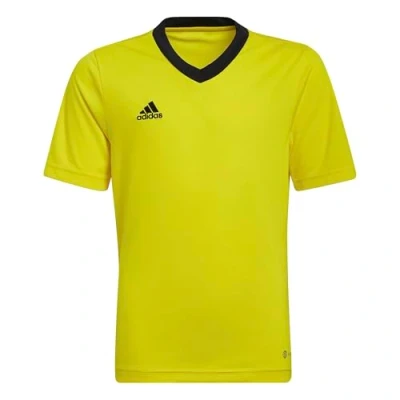 Afbeelding van adidas Entrada 22 Jersey Youth Gele Voetbalshirt 152