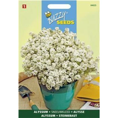 Afbeelding van Alyssum Lobularia Mar.Procumbens Sneeuwkleed Buzzy