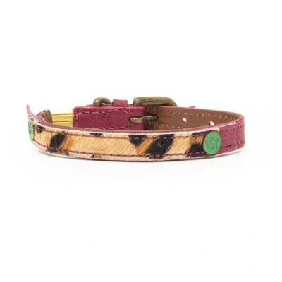 Afbeelding van Dwam Lou Kattenhalsband 22 27x1 cm Multi Color
