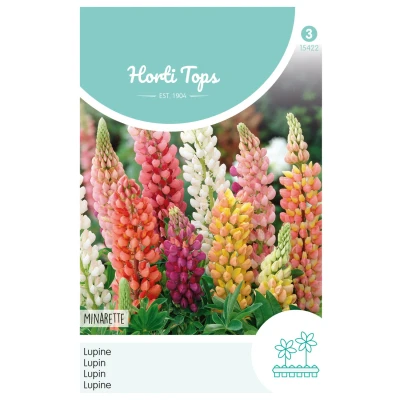 Afbeelding van Lupinus Polyph. Russell S Minarette Gem. Hortitops