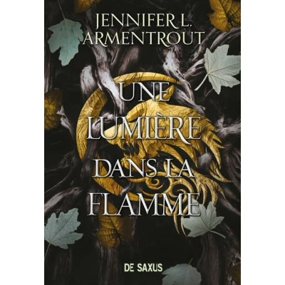Image de la Chair et le Feu (broché) Tome 02 Une Lumière dans flamme