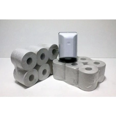 Afbeelding van 12 Rollen Poetspapier + Handige Dispenser Wit (12 Papier 1 Dispenser)